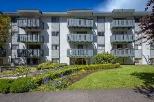 Terrace Green - 2 Bedroom available at 180 Croft Street, Victori - Photo 10