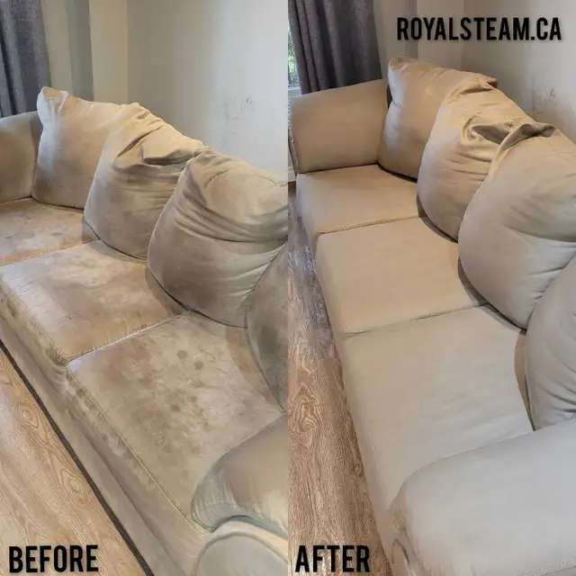 SOFA CLEANING SERVICES,CARPET CLEANING,RUG CLEANING,STEAM CLEAN