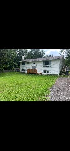 Pasadena-single dwelling house - Photo 2