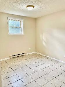 Nice, renovated 2 bedroom Apartment with Laundry and Parking - Photo 3