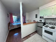 Downtown Near McGill All Included Furnitured Studio for Rent !! - Photo 2