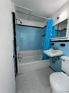Downtown Near McGill All Included Furnitured Studio for Rent !! - Photo 10