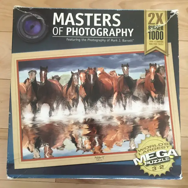 Casse-têtes / Puzzles (8 CT), 1000 LARGE pièces (noIV)