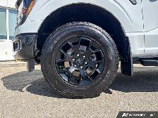 2024 Ford F-150 STX - Photo 7