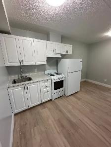 One Bedroom Available Now in Minnow Lake