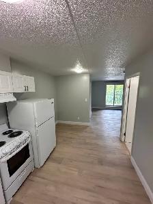 One Bedroom Available Now in Minnow Lake - Photo 2