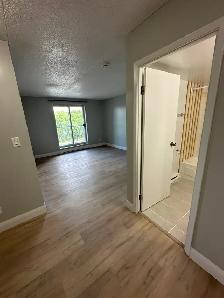 One Bedroom Available Now in Minnow Lake - Photo 3