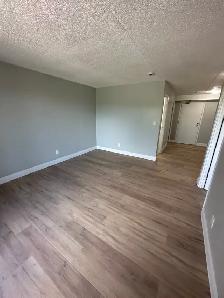 One Bedroom Available Now in Minnow Lake - Photo 7