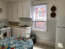 Fully Furnished Bachelor Apt and Sunporch for Rent - Photo 2