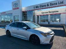 2021 Toyota Corolla LE Low mileage!