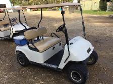 Golf Cart - Photo 2