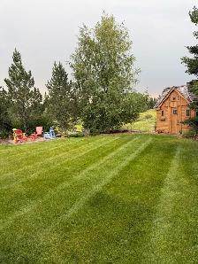 Landscape Maintenance Crew Member - Photo 4