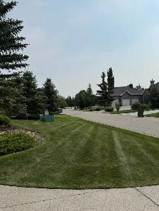 Landscape Maintenance Crew Member - Photo 5