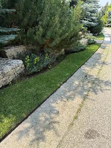 Landscape Maintenance Crew Member - Photo 6
