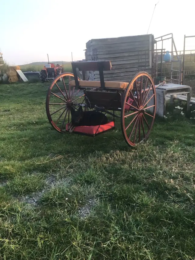 Horse Cart