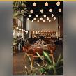 Restaurant Manager