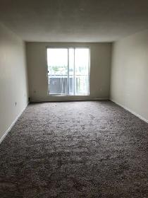 CARPET SALE AND INSTALLATION PRO 647-867-1938 - Photo 10
