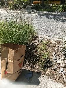 Affordable labourer/gardener/mover available! 647-571-9326 - Photo 2