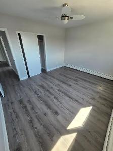 Large Modern Renovated 2 bedroom Apartment - Haist Street Fonthi - Photo 5