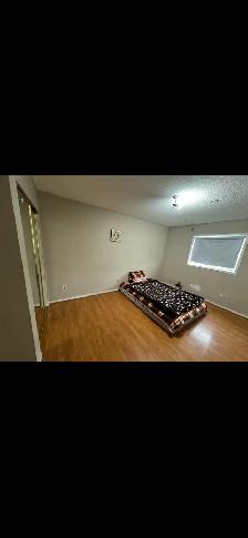 Room & basement for rent Brampton