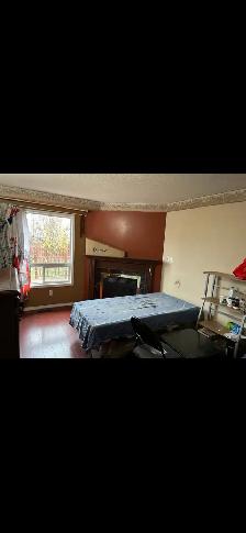 Room & basement for rent Brampton - Photo 2