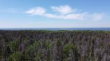 Stunning 1.09acre property w/ privacy & mature trees - Photo 3