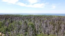 Stunning 1.09acre property w/ privacy & mature trees - Photo 7