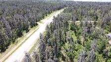 Stunning 1.09acre property w/ privacy & mature trees - Photo 8