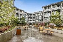 1 Bed 1 Bath Unit in Calgary, AB - Photo 4