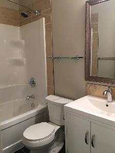 Basement suite 2 Beds 1 Bath in Rosewood - Photo 10
