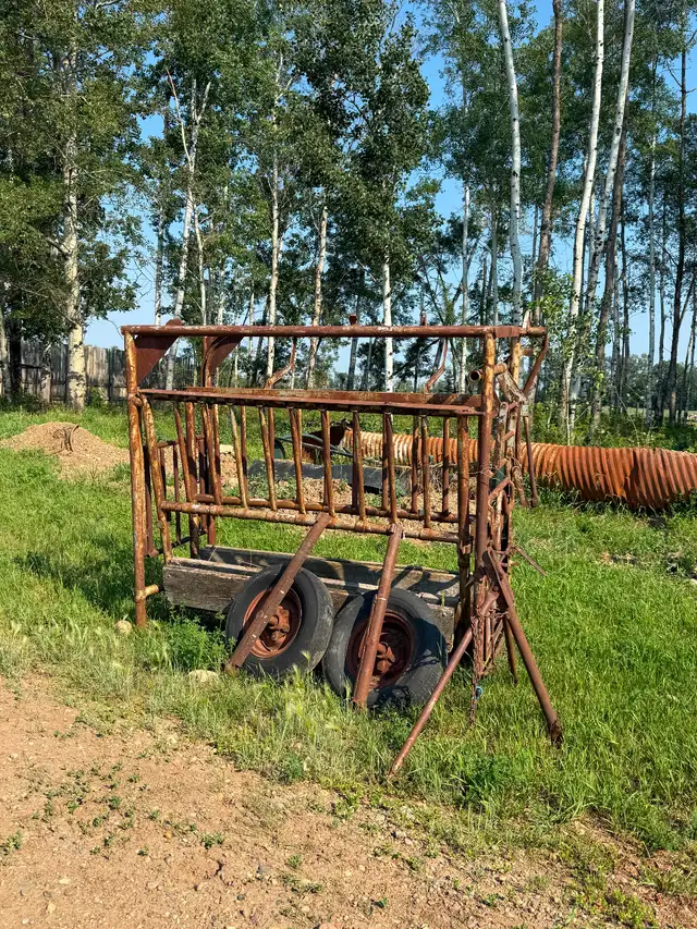 Cattle squeeze, molasses lick tank, calf table