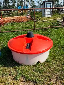 Cattle squeeze, molasses lick tank, calf table - Photo 2