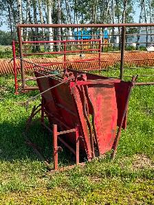 Cattle squeeze, molasses lick tank, calf table - Photo 3
