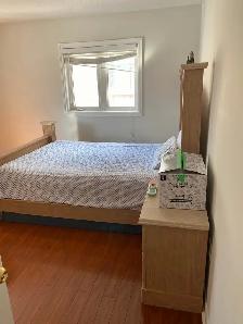 $650 private room for rent for girl - Photo 5