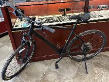 Devinci XL Frame Milano Altus 8s Hybrid Bike