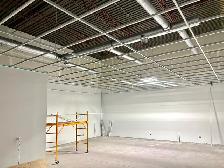 Professional Ceiling Installation - Commercial & Residential