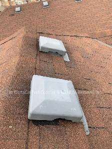 Raccoon Removal, Mice Removal, Squirrel Removal, Bird Removal - Photo 4