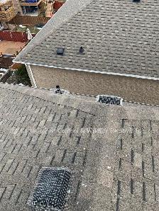 Raccoon Removal, Mice Removal, Squirrel Removal, Bird Removal - Photo 5