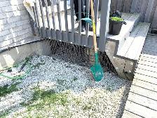 Raccoon Removal, Mice Removal, Squirrel Removal, Bird Removal - Photo 6