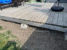 Raccoon Removal, Mice Removal, Squirrel Removal, Bird Removal - Photo 8