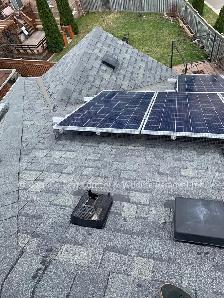 Raccoon Removal, Squirrel Removal, Mice Removal, Bird Removal - Photo 2