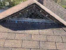 Raccoon Removal, Squirrel Removal, Mice Removal, Bird Removal - Photo 5