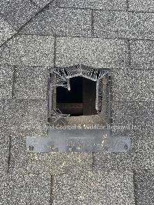 Raccoon Removal, Squirrel Removal, Mice Removal, Bird Removal - Photo 6