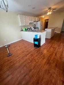 Ground floor 2 bedroom  apt  with washer dyer for October 1st - Photo 3