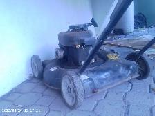 tondeuse à gaz à vendre rapidement et urgent - Photo 10