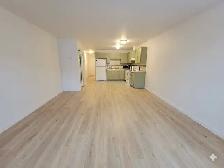 Grand 3 1/2 Ahunstic - Photo 5