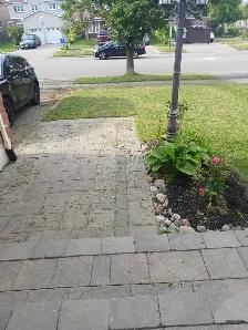 Interior & Exterior Home Cleaning - Photo 4