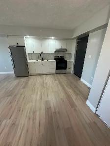 1 Bedroom Apartment Available September in Minnow Lake Area - Photo 3
