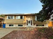 Rooms for rent - Photo 2