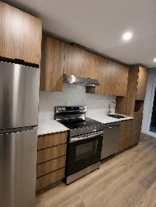 Studio 1220$/ Métro Cartier - Photo 2